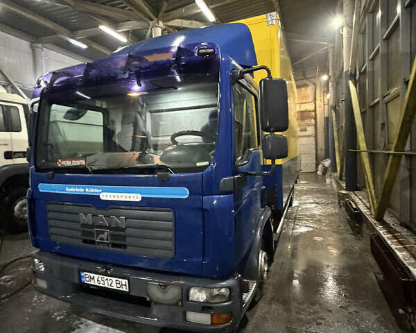 Синій МАН TGL, об'ємом двигуна 6.87 л та пробігом 700 тис. км за 18000 $, фото 4 на Automoto.ua
