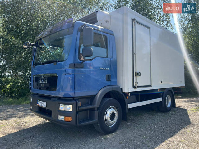 Синий МАН ТГМ, объемом двигателя 6.87 л и пробегом 513 тыс. км за 34000 $, фото 16 на Automoto.ua
