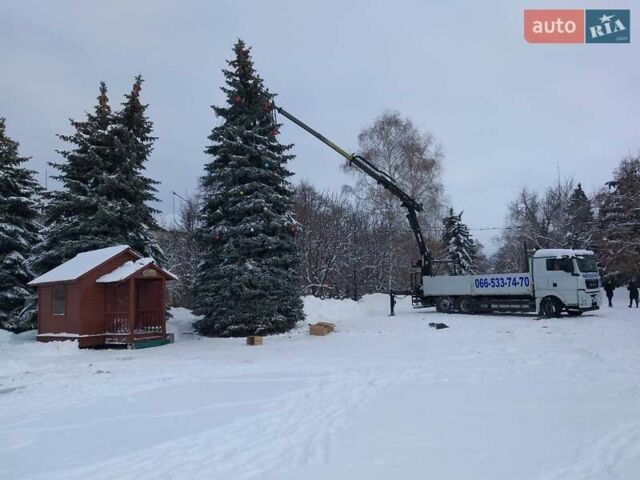 Белый МАН ТГКС, объемом двигателя 10.52 л и пробегом 450 тыс. км за 80000 $, фото 7 на Automoto.ua