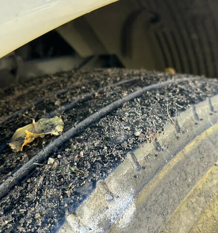 МАН ТГКС 2009 в Радехове на Automoto.ua Белый МАН ТГКС, объемом двигателя 10.52 л и пробегом 1 тыс. км за 13900 $, фото 18 на Automoto.ua