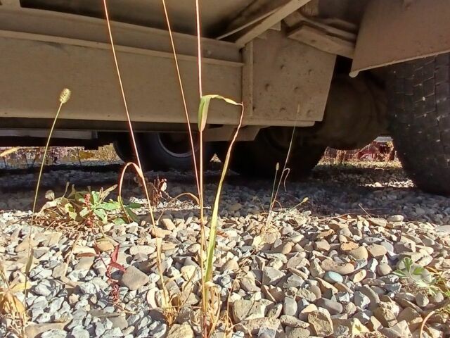 МАН Другая, об'ємом двигуна 0 л та пробігом 0 тис. км за 10000 $, фото 6 на Automoto.ua