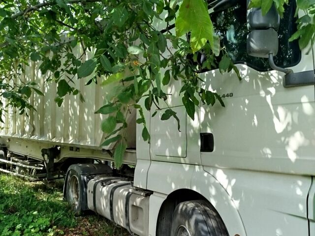 МАН Другая 2008 в Чемеровцах на Automoto.ua МАН Другая, объемом двигателя 0 л и пробегом 0 тыс. км за 30000 $, фото 7 на Automoto.ua