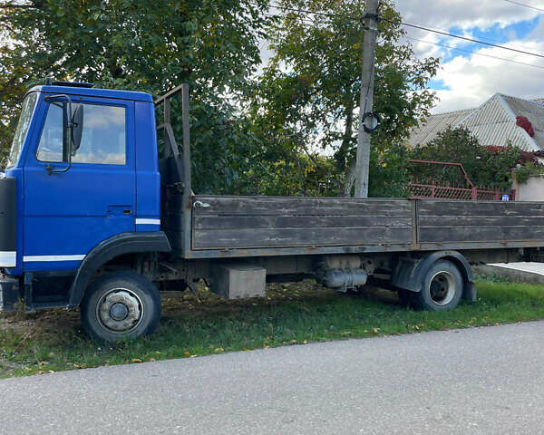 МАЗ 437041, об'ємом двигуна 0 л та пробігом 300 тис. км за 2900 $, фото 2 на Automoto.ua