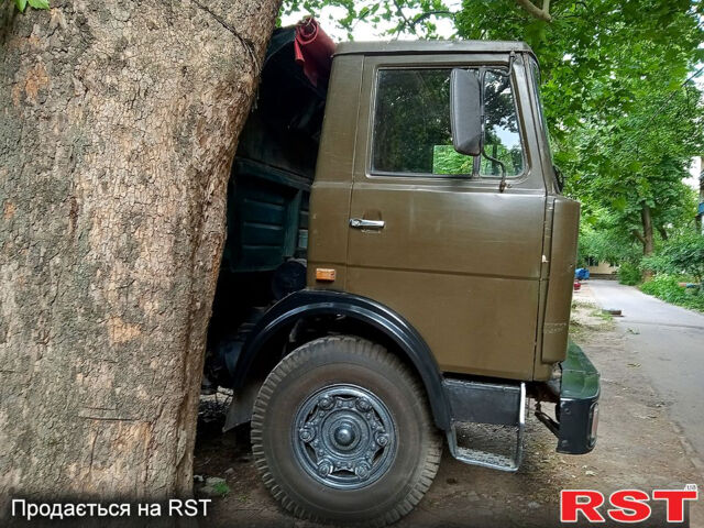 МАЗ 5551, об'ємом двигуна 11 л та пробігом 0 тис. км за 6000 $, фото 4 на Automoto.ua