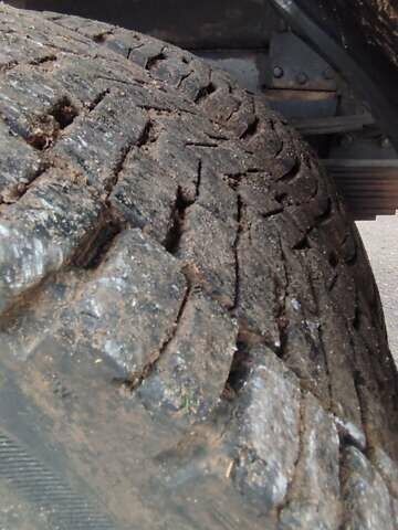 МАЗ 555102 2008 в Полтаве на Automoto.ua Белый МАЗ 555102, объемом двигателя 11.15 л и пробегом 250 тыс. км за 14000 $, фото 16 на Automoto.ua