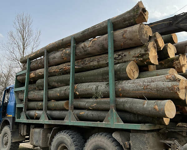 Синій МАЗ 651705, об'ємом двигуна 0 л та пробігом 150 тис. км за 41000 $, фото 1 на Automoto.ua