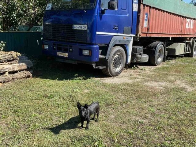 МАЗ Другая, объемом двигателя 0 л и пробегом 0 тыс. км за 6500 $, фото 1 на Automoto.ua