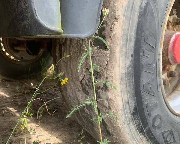 Красный МОЛ К85Ф, объемом двигателя 0 л и пробегом 0 тыс. км за 14000 $, фото 2 на Automoto.ua