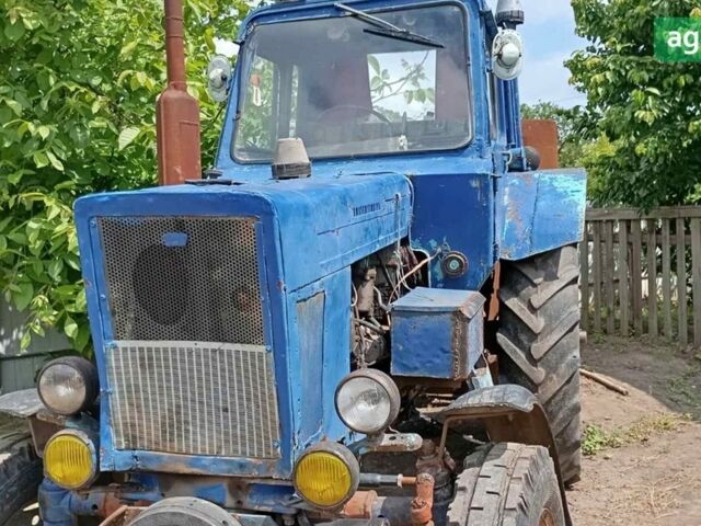 МТЗ 80 Білорус, объемом двигателя 0 л и пробегом 0 тыс. км за 5200 $, фото 1 на Automoto.ua