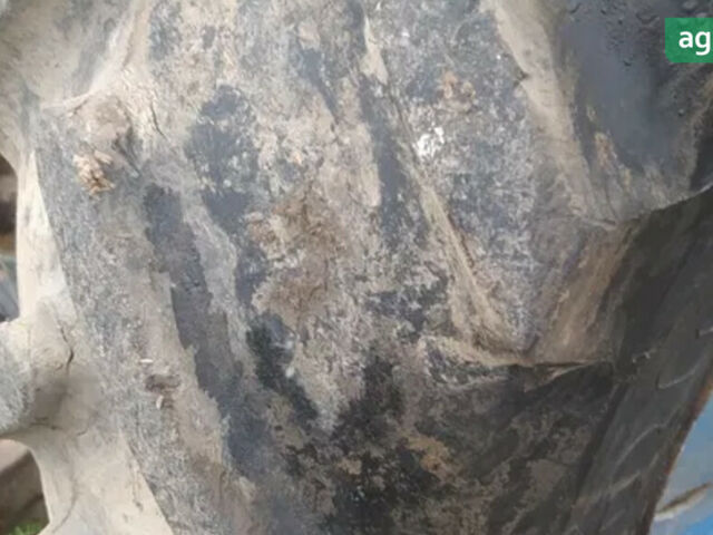 МТЗ 80 Білорус, объемом двигателя 4.75 л и пробегом 0 тыс. км за 3200 $, фото 4 на Automoto.ua