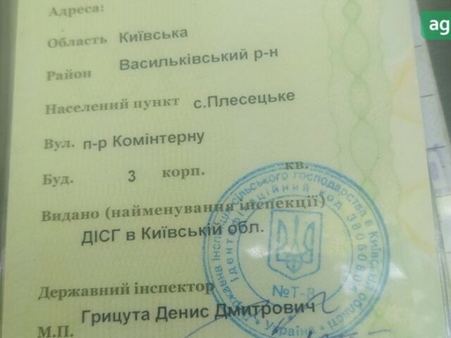 МТЗ 80 Білорус, об'ємом двигуна 4.5 л та пробігом 30 тис. км за 4500 $, фото 7 на Automoto.ua