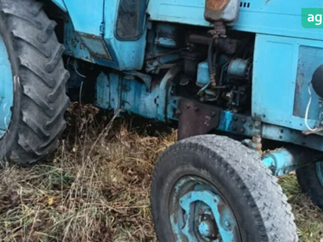 МТЗ 80 Білорус, объемом двигателя 4.75 л и пробегом 0 тыс. км за 5206 $, фото 5 на Automoto.ua