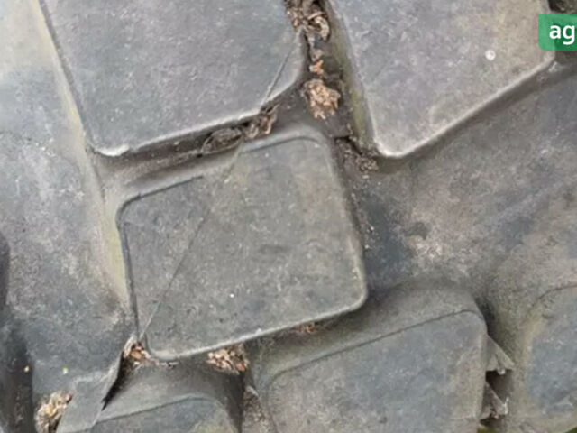 МТЗ 82 Беларус, объемом двигателя 4.75 л и пробегом 0 тыс. км за 4900 $, фото 3 на Automoto.ua