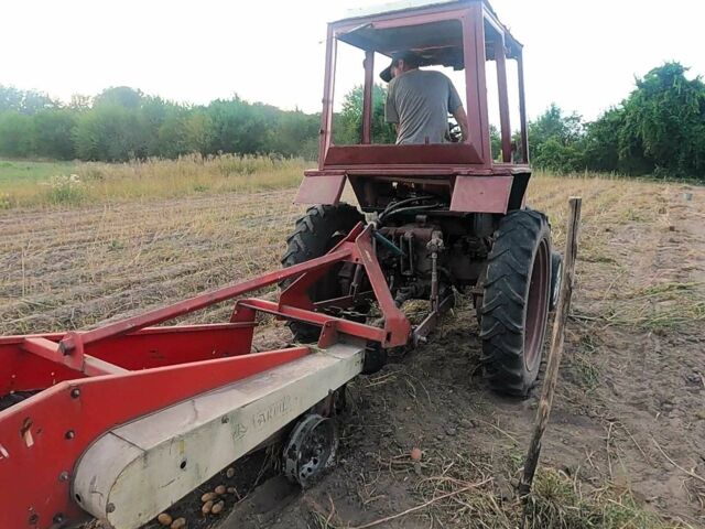 МТЗ Другая 1989 в Вышгороде на Automoto.ua МТЗ Другая, объемом двигателя 2.1 л и пробегом 3 тыс. км за 3100 $, фото 3 на Automoto.ua