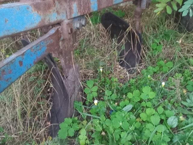 МТЗ Другая, объемом двигателя 4.7 л и пробегом 3 тыс. км за 6500 $, фото 5 на Automoto.ua