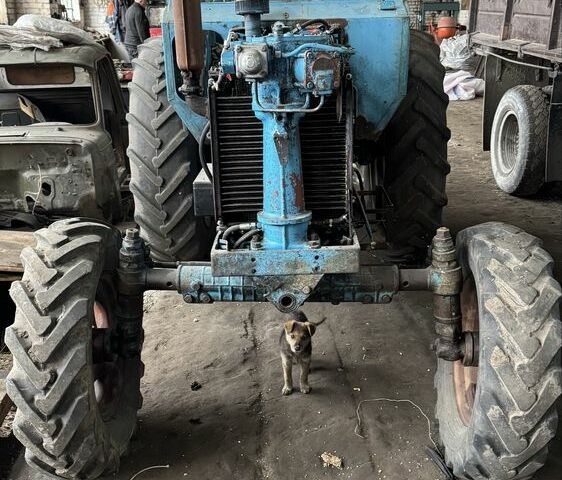 МТЗ Другая 1991 в Любомль на Automoto.ua МТЗ Другая, объемом двигателя 0 л и пробегом 0 тыс. км за 4000 $, фото 1 на Automoto.ua