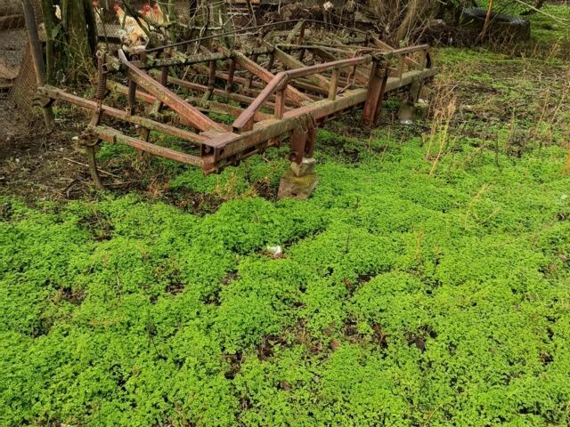 МТЗ Другая, объемом двигателя 0 л и пробегом 0 тыс. км за 9500 $, фото 7 на Automoto.ua