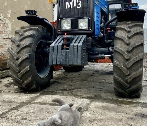 МТЗ Другая, объемом двигателя 0.5 л и пробегом 750 тыс. км за 26500 $, фото 13 на Automoto.ua