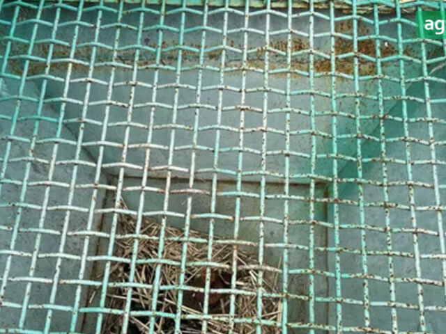 МВД 900, объемом двигателя 0 л и пробегом 0 тыс. км за 595 $, фото 6 на Automoto.ua