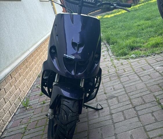 Малагути Другая, объемом двигателя 70 л и пробегом 0 тыс. км за 1200 $, фото 1 на Automoto.ua