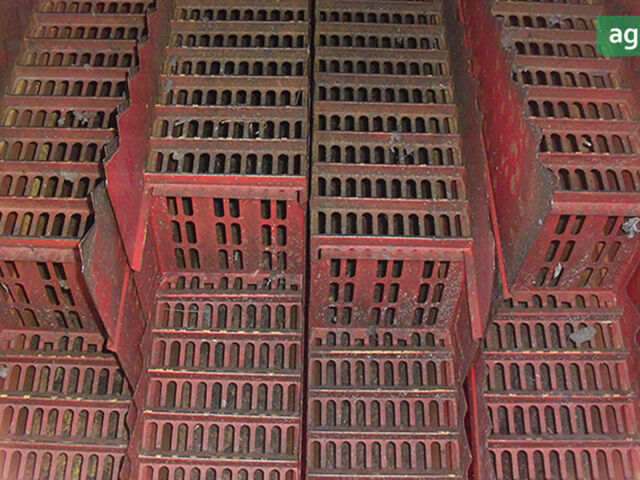 Массей Фергюсон 16, объемом двигателя 0 л и пробегом 0 тыс. км за 21800 $, фото 18 на Automoto.ua