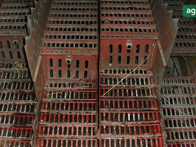 Массей Фергюсон 20, об'ємом двигуна 0 л та пробігом 0 тис. км за 21300 $, фото 21 на Automoto.ua