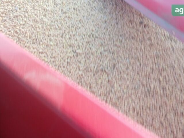 Массей Фергюсон 307, об'ємом двигуна 3.86 л та пробігом 0 тис. км за 10300 $, фото 2 на Automoto.ua