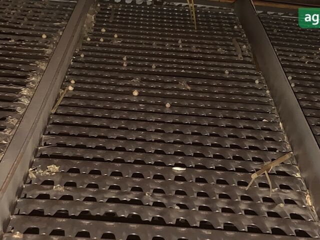 Массей Фергюсон 330, объемом двигателя 0 л и пробегом 0 тыс. км за 10200 $, фото 2 на Automoto.ua