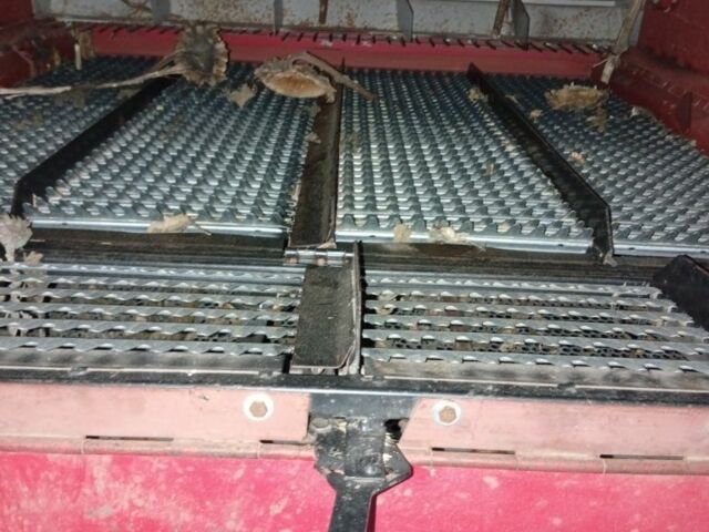 Червоний Массей Фергюсон 525, об'ємом двигуна 0 л та пробігом 100 тис. км за 5000 $, фото 2 на Automoto.ua