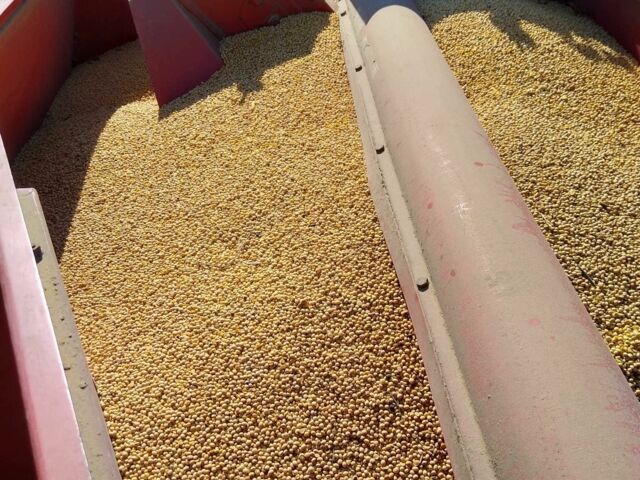 Массей Фергюсон Другая, объемом двигателя 2.2 л и пробегом 0 тыс. км за 8900 $, фото 19 на Automoto.ua