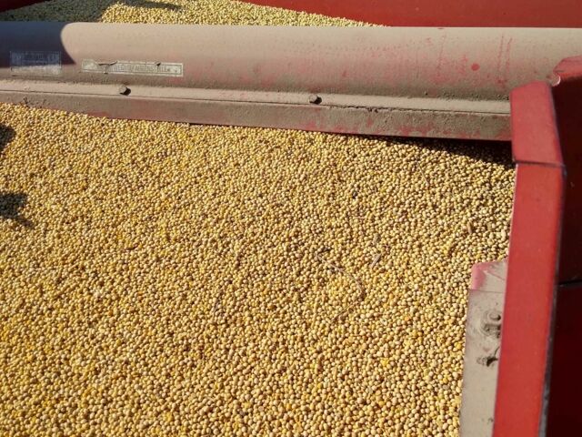 Массей Фергюсон Другая, объемом двигателя 2.2 л и пробегом 0 тыс. км за 8900 $, фото 9 на Automoto.ua