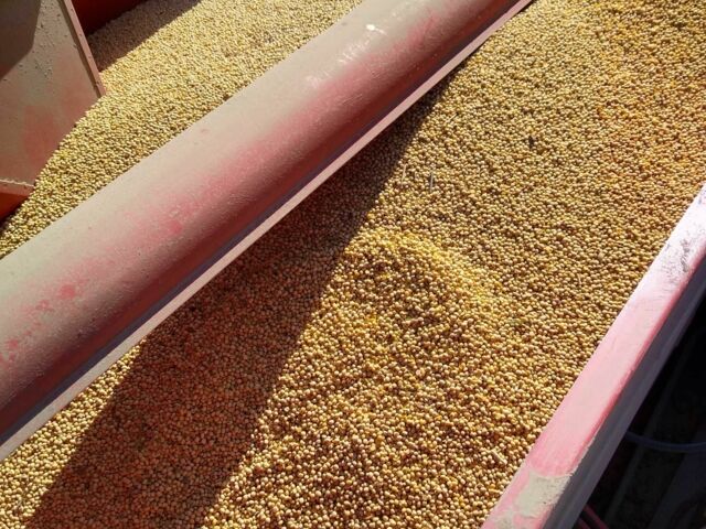 Массей Фергюсон Другая, объемом двигателя 2.2 л и пробегом 0 тыс. км за 8900 $, фото 3 на Automoto.ua