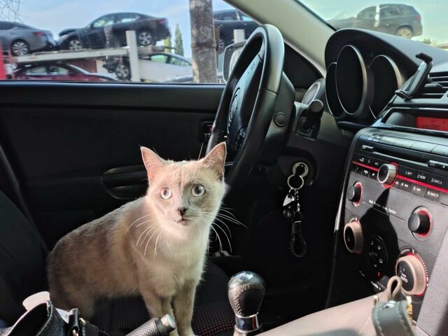 Зелений Мазда 3, об'ємом двигуна 1.6 л та пробігом 292 тис. км за 6000 $, фото 9 на Automoto.ua