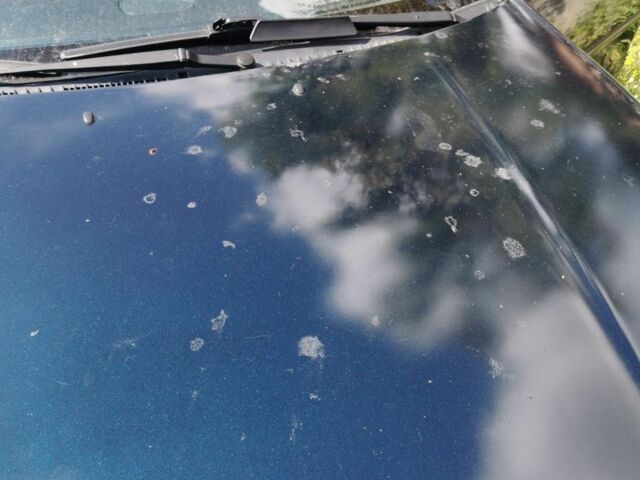 Синий Мазда 323, объемом двигателя 1.5 л и пробегом 300 тыс. км за 2850 $, фото 8 на Automoto.ua