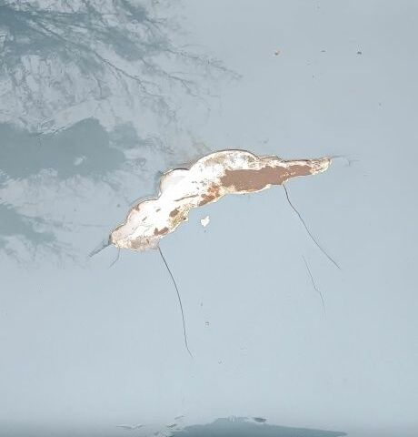 Синий Мазда 626, объемом двигателя 2 л и пробегом 205 тыс. км за 600 $, фото 7 на Automoto.ua