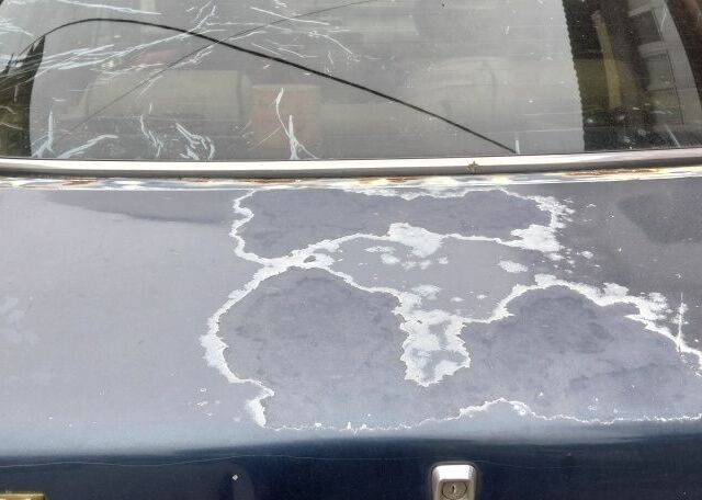 Синий Мазда 626, объемом двигателя 2 л и пробегом 450 тыс. км за 700 $, фото 8 на Automoto.ua