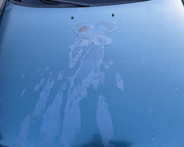 Зелений Мазда 626, об'ємом двигуна 1.99 л та пробігом 600 тис. км за 1500 $, фото 28 на Automoto.ua