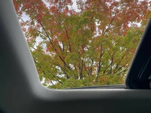 Серый Мазда СХ-9, объемом двигателя 2.5 л и пробегом 27 тыс. км за 5300 $, фото 11 на Automoto.ua