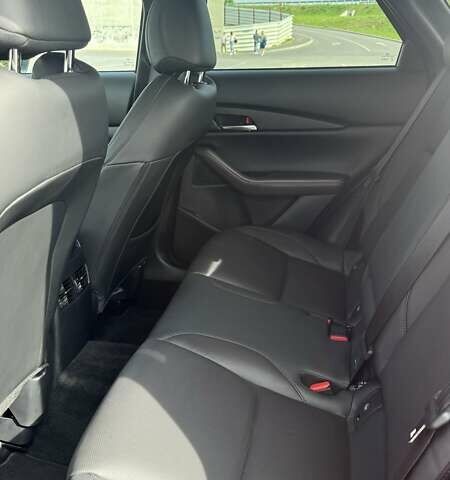 Красный Мазда CX-30, объемом двигателя 2.49 л и пробегом 7 тыс. км за 22200 $, фото 22 на Automoto.ua