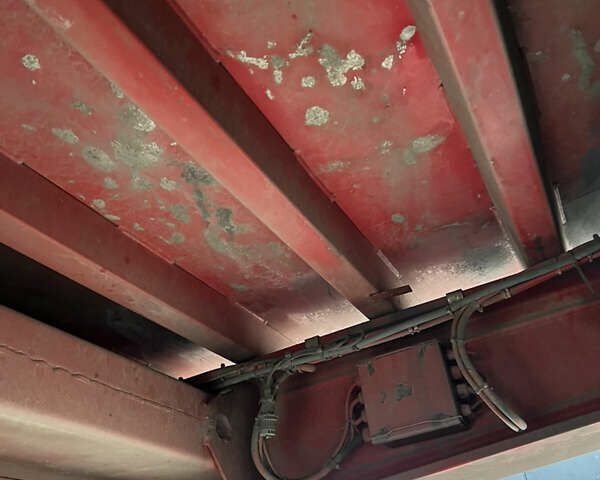 Красный Майрлинг МСК, объемом двигателя 0 л и пробегом 1 тыс. км за 20000 $, фото 22 на Automoto.ua