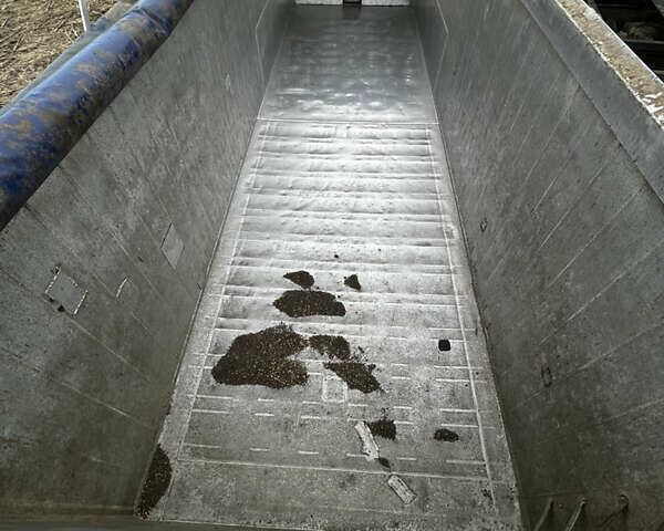 Красный Майрлинг МСК, объемом двигателя 0 л и пробегом 1 тыс. км за 20000 $, фото 1 на Automoto.ua