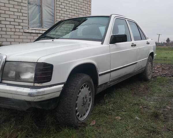 Білий Мерседес 190, об'ємом двигуна 2 л та пробігом 280 тис. км за 1700 $, фото 2 на Automoto.ua