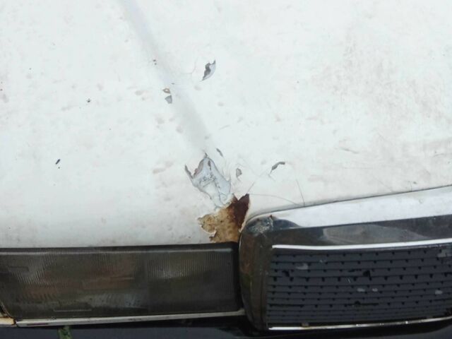 Білий Мерседес 190, об'ємом двигуна 2 л та пробігом 120 тис. км за 716 $, фото 7 на Automoto.ua