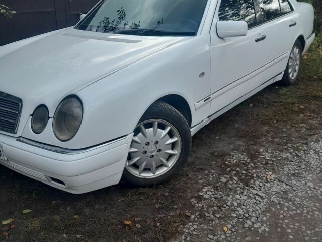 Білий Мерседес 200, об'ємом двигуна 2 л та пробігом 413 тис. км за 3950 $, фото 5 на Automoto.ua