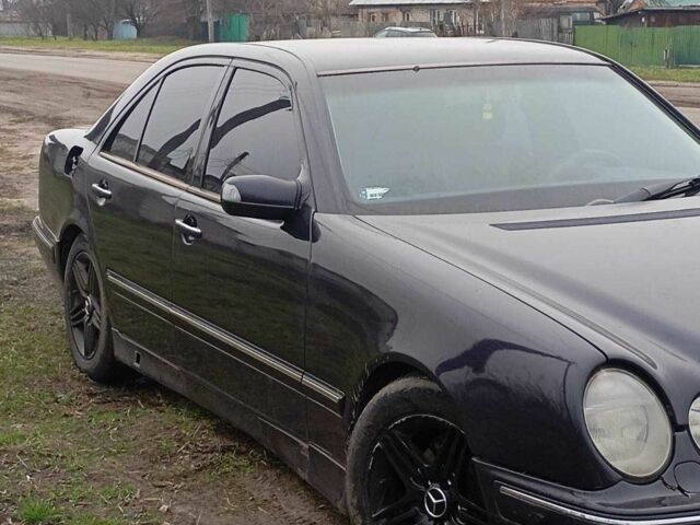 Фиолетовый Мерседес 220, объемом двигателя 2.6 л и пробегом 403 тыс. км за 3200 $, фото 2 на Automoto.ua