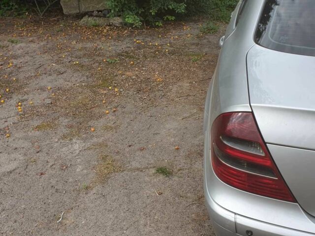 Серый Мерседес 220, объемом двигателя 2.2 л и пробегом 390 тыс. км за 3900 $, фото 1 на Automoto.ua