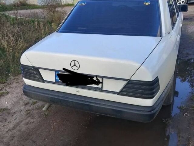 Белый Мерседес 230, объемом двигателя 2.3 л и пробегом 250 тыс. км за 1300 $, фото 3 на Automoto.ua