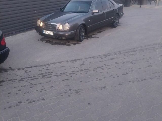 Серый Мерседес 230, объемом двигателя 2 л и пробегом 270 тыс. км за 2700 $, фото 5 на Automoto.ua