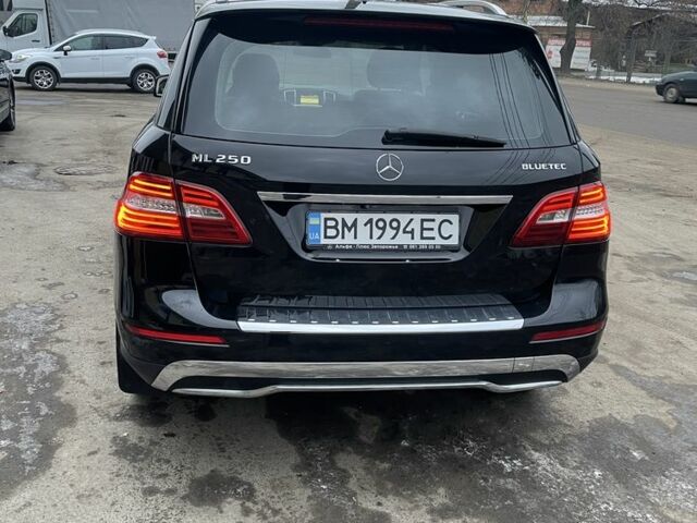 Чорний Мерседес 250, об'ємом двигуна 2.1 л та пробігом 267 тис. км за 19800 $, фото 6 на Automoto.ua