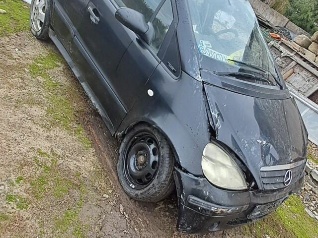 Мерседес А класс 2000 в Черткове на Automoto.ua Черный Мерседес А класс, объемом двигателя 1.7 л и пробегом 410 тыс. км за 1100 $, фото 1 на Automoto.ua
